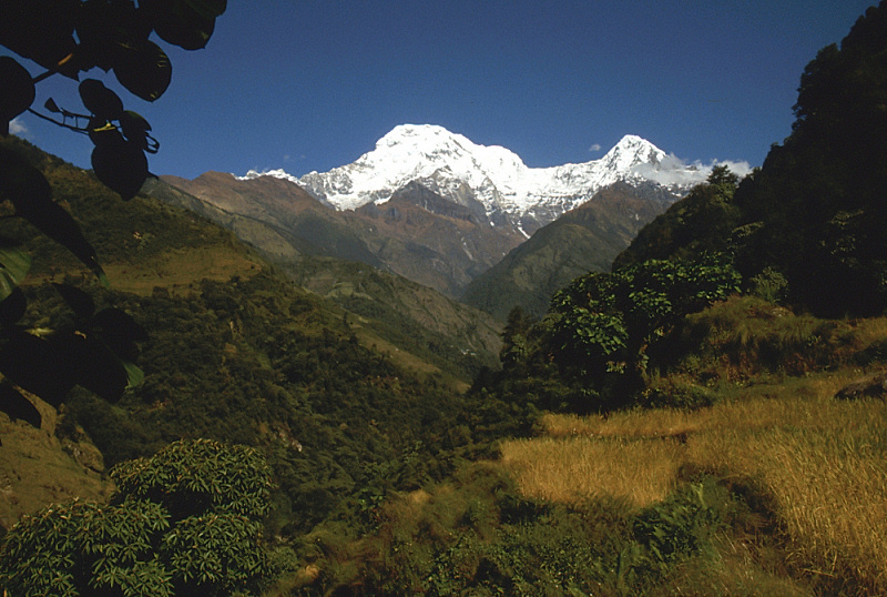 441_Terugblik op Annapurna.jpg